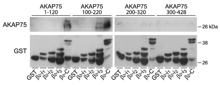 FIG. 9