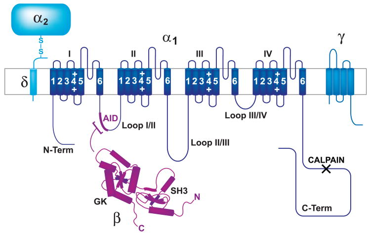 FIG. 1