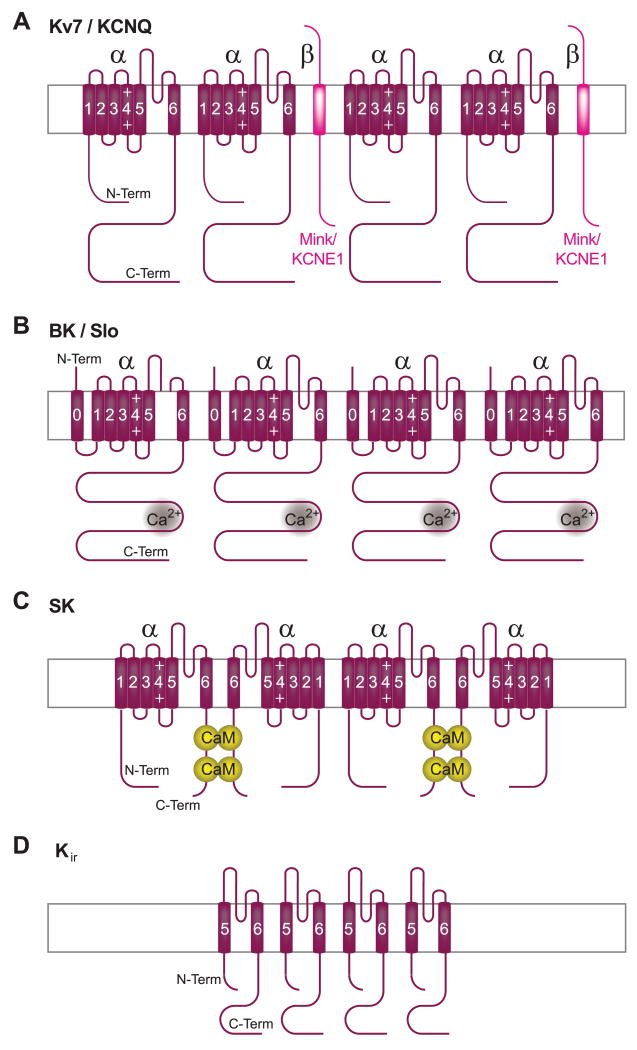 FIG. 3