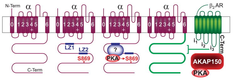 FIG. 13