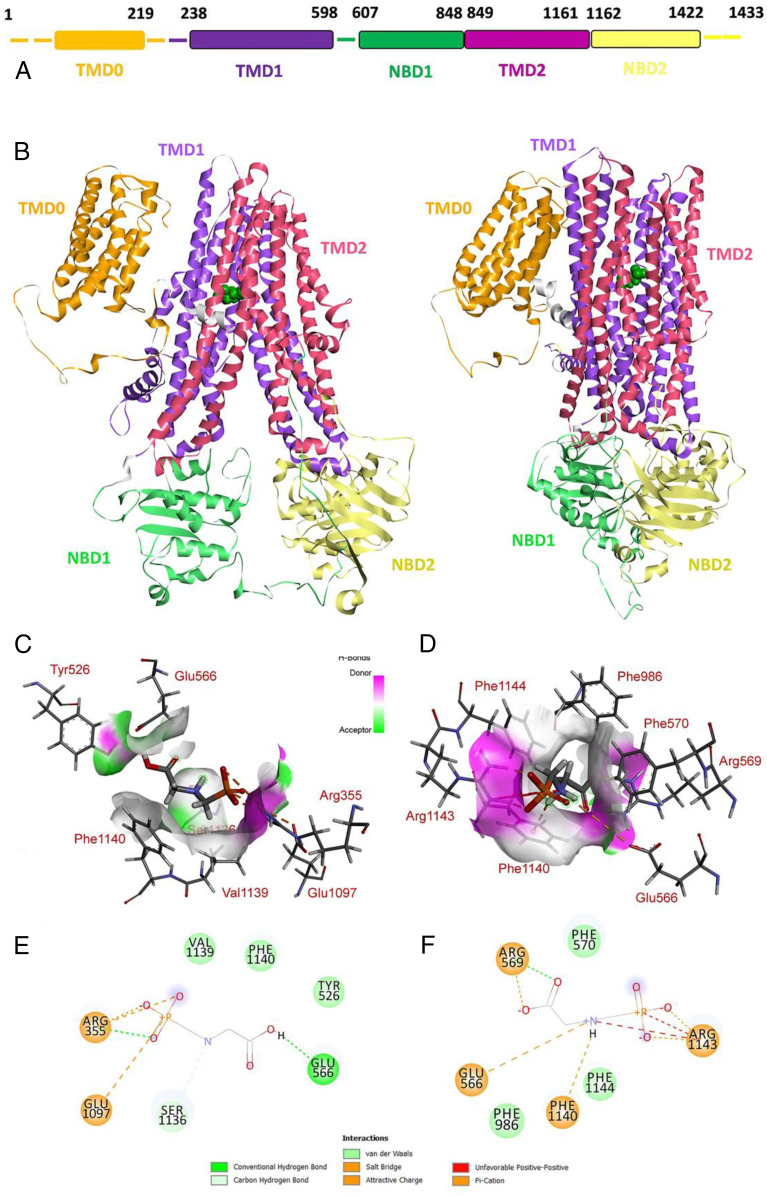 Fig. 7.