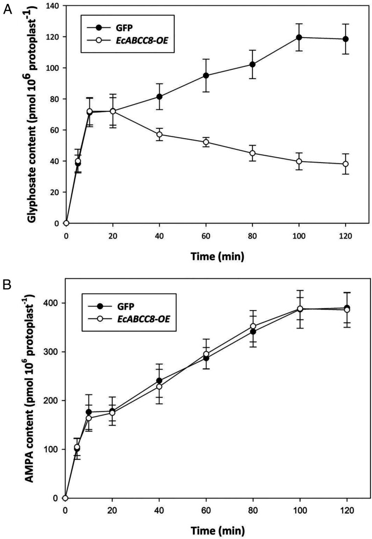 Fig. 6.