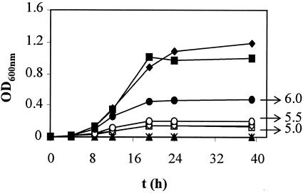 FIG. 2.