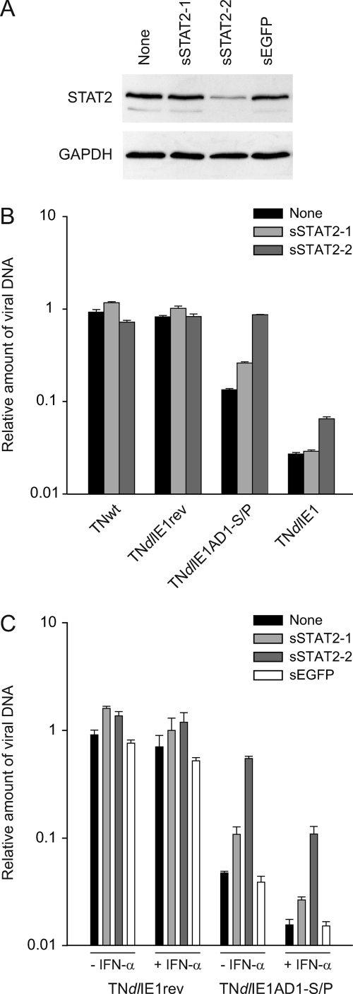 FIG. 8.