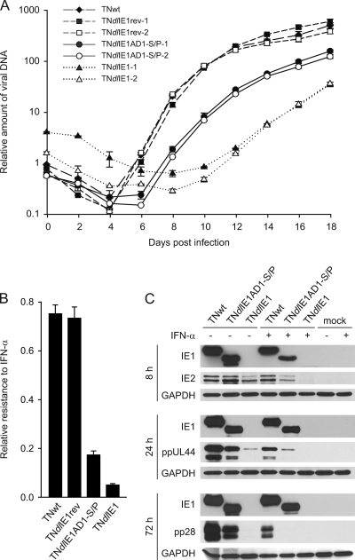 FIG. 7.