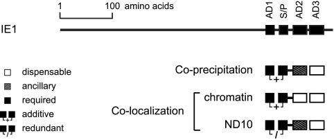 FIG. 5.