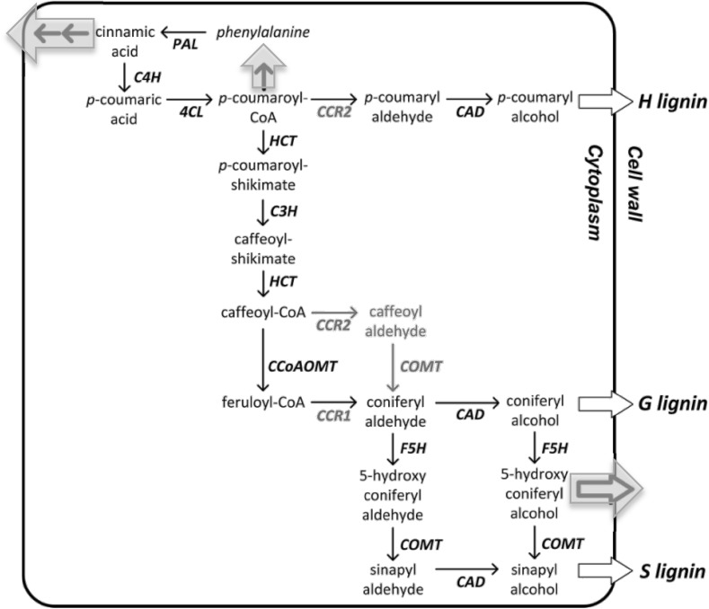 Fig. 1