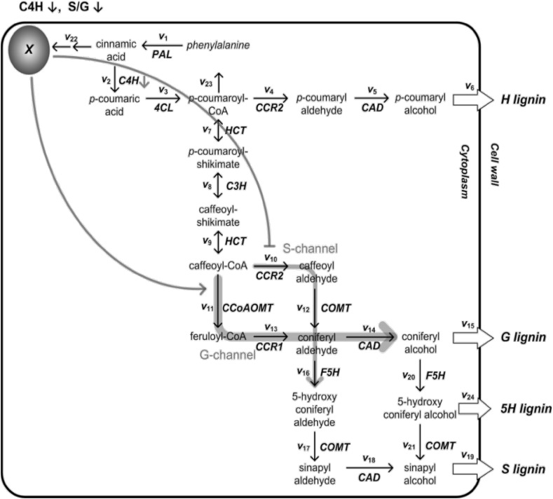 Fig. 2