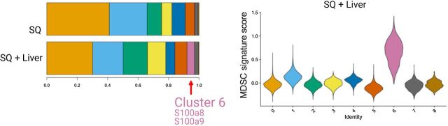 Figure 6. Single-cell RNA sequencing in Lee and colleagues (54) showed a myeloid population consistent with an MDSC phenotype in liver MC38 tumor mice, cluster 6 shown in the histogram and in violin plots showing relative MDSC score ordered by monocyte/myeloid cell subclusters. Figure previously published in Science Immunology (54); reprinted with permission.