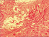 Fig.3