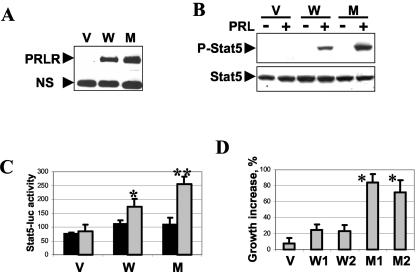 FIG. 7.