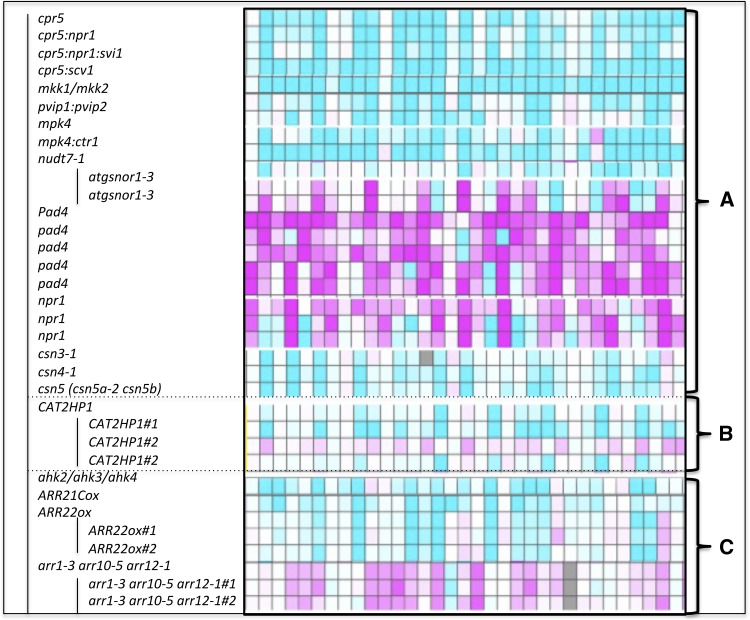 Figure 12.