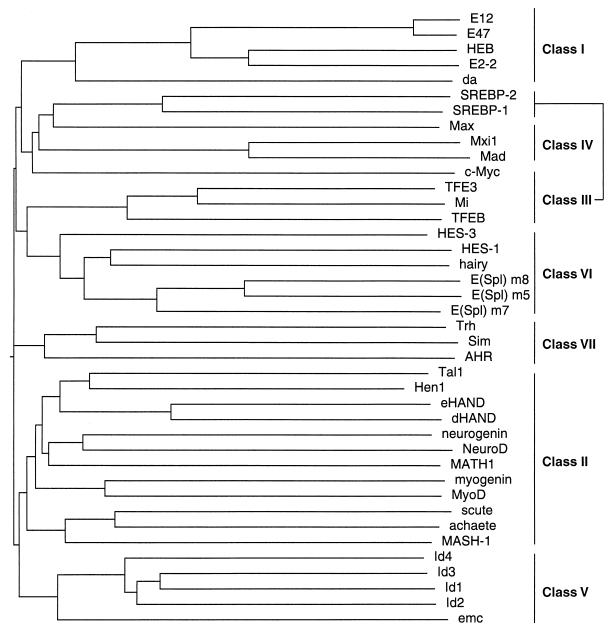 FIG. 1