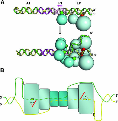 FIG. 7.