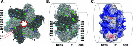 FIG. 6.