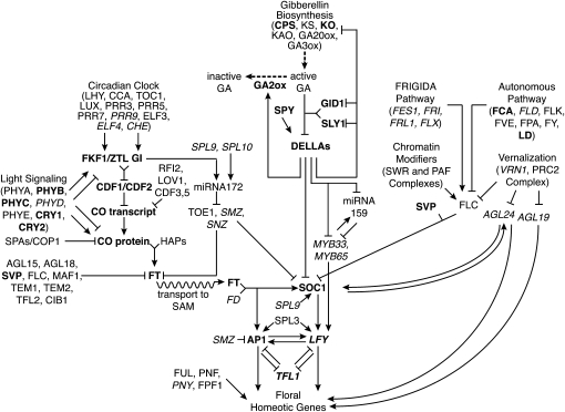 Figure 2.—