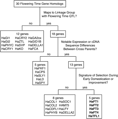 Figure 1.—