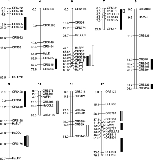 Figure 3.—