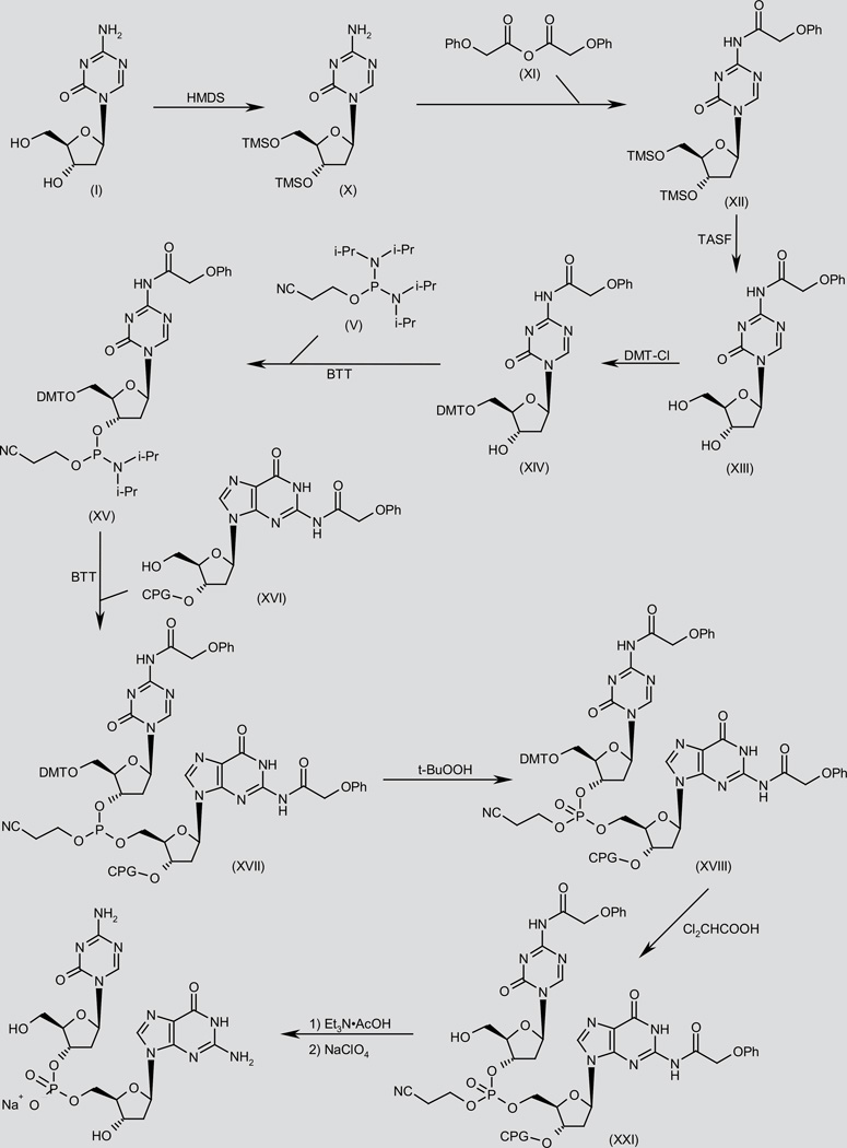 Scheme 2