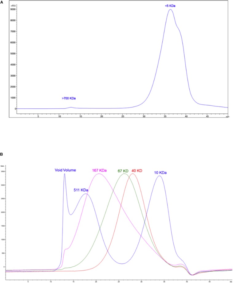 FIGURE 12