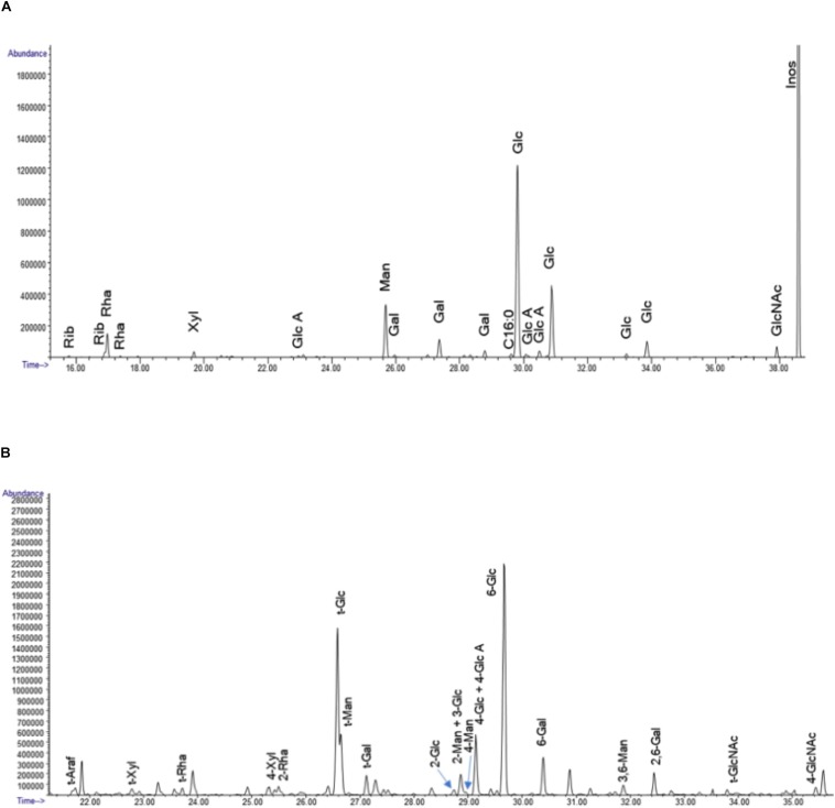 FIGURE 13