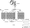 FIGURE 9.