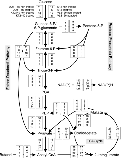 FIG. 2.