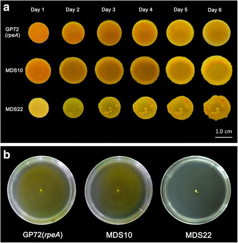 Fig. 3