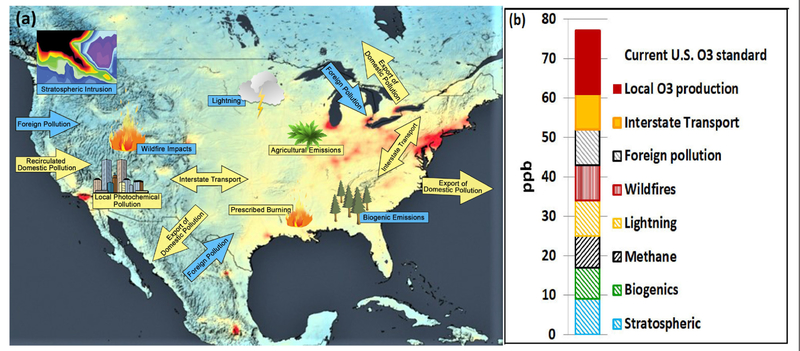Figure 1: