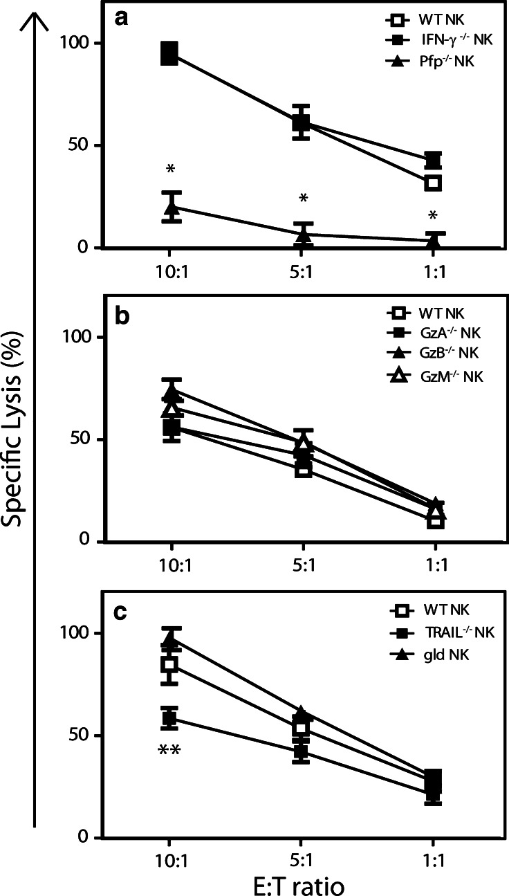 Fig. 5