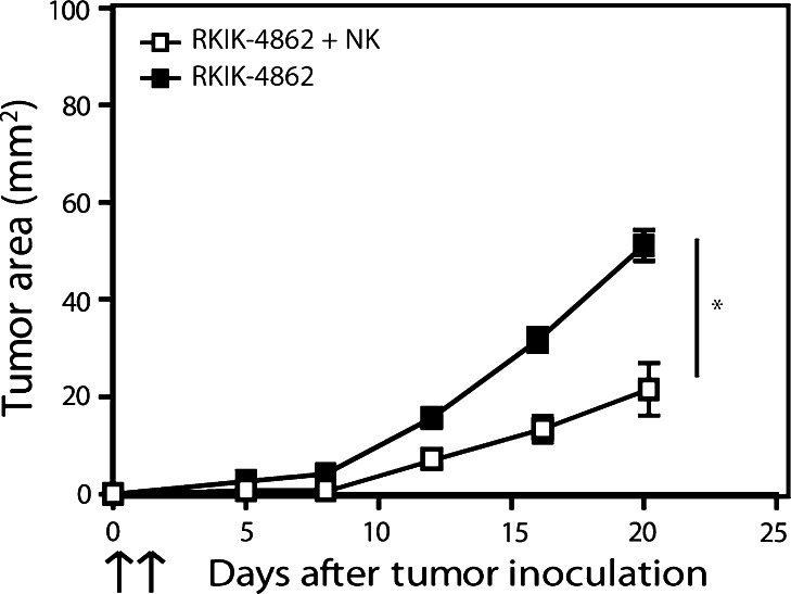 Fig. 4