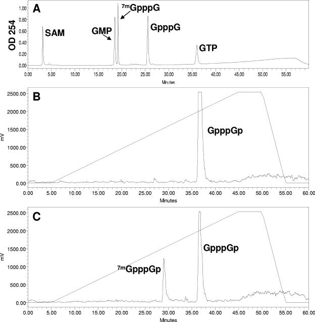 FIG. 6.