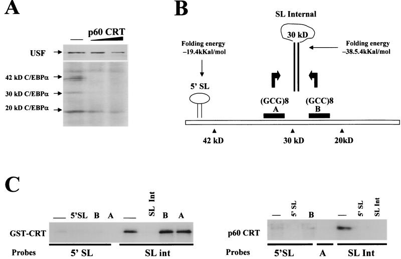 FIG. 7.