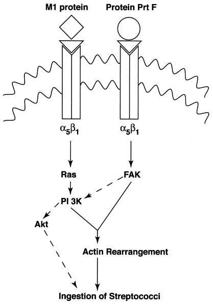 FIG. 6.