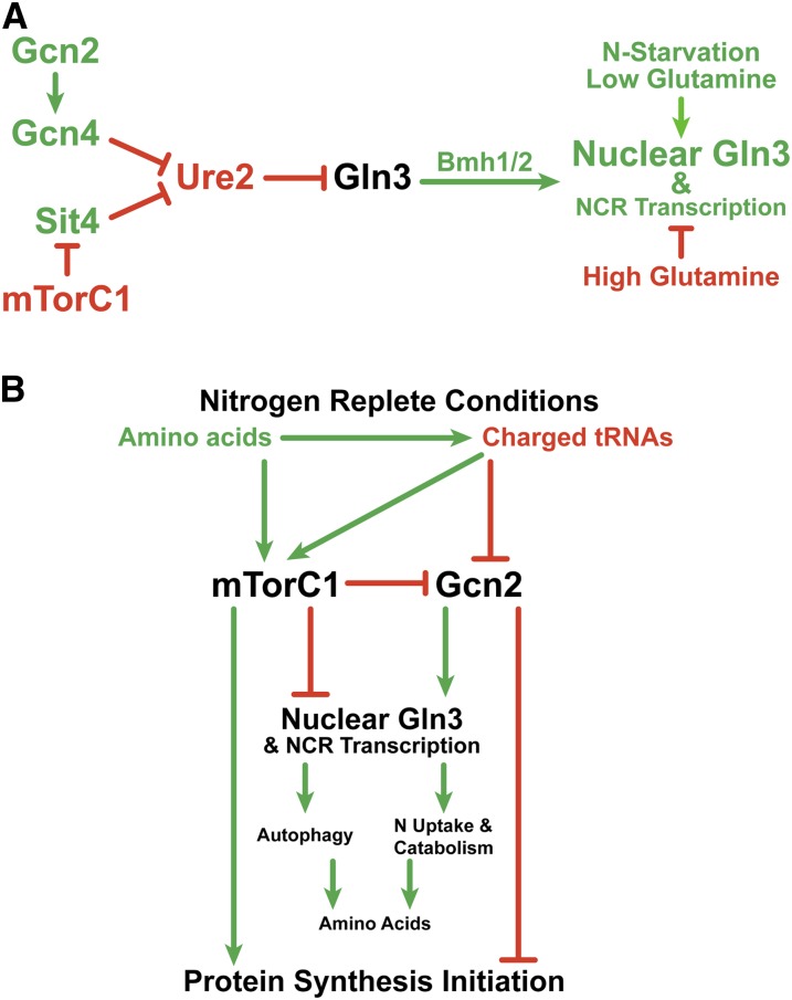 Figure 17