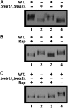 Figure 16