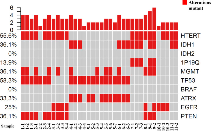 Figure 2