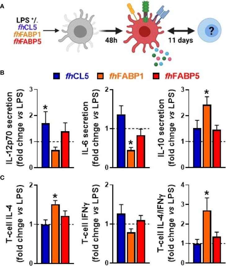 Figure 2