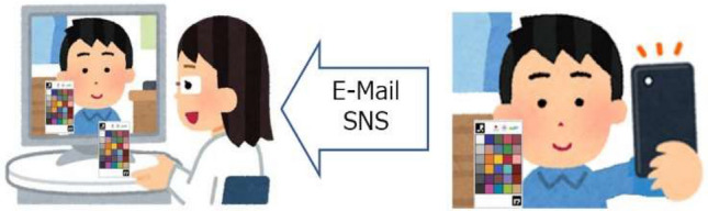 Fig. 2