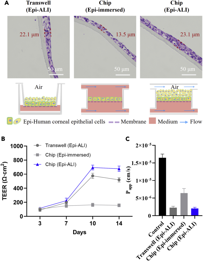 Figure 2