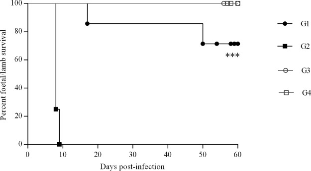 FIG 3