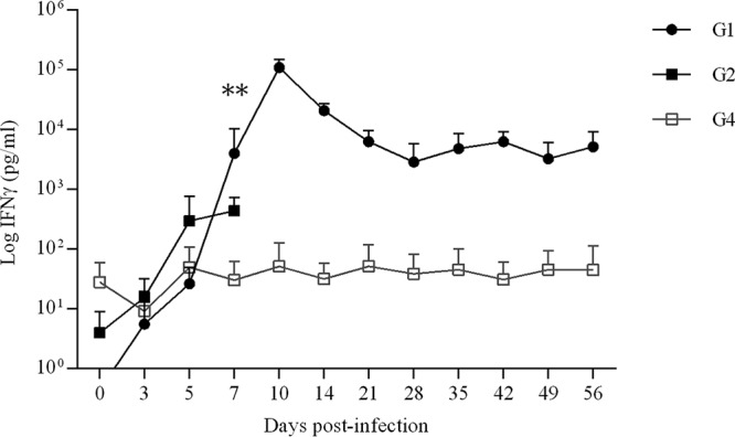 FIG 4