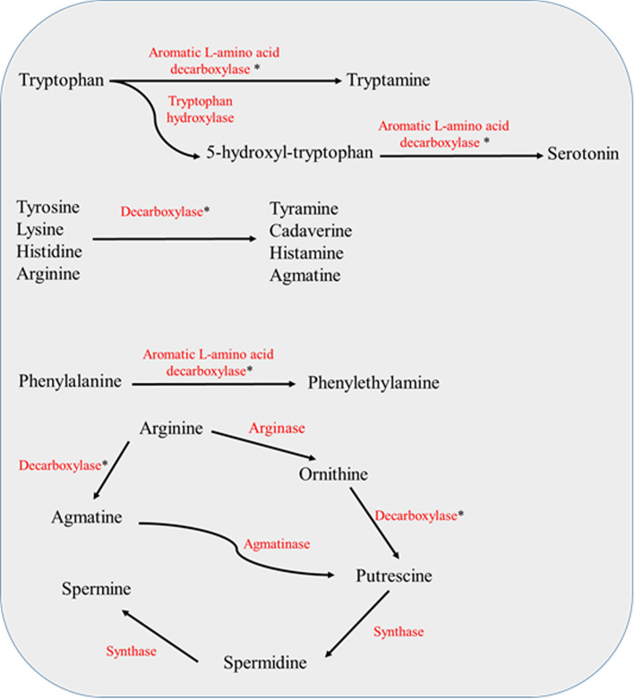 Fig. 1