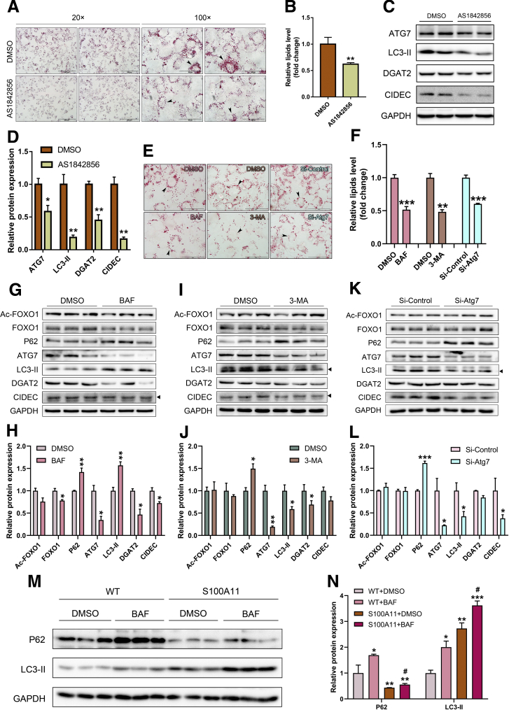 Figure 16