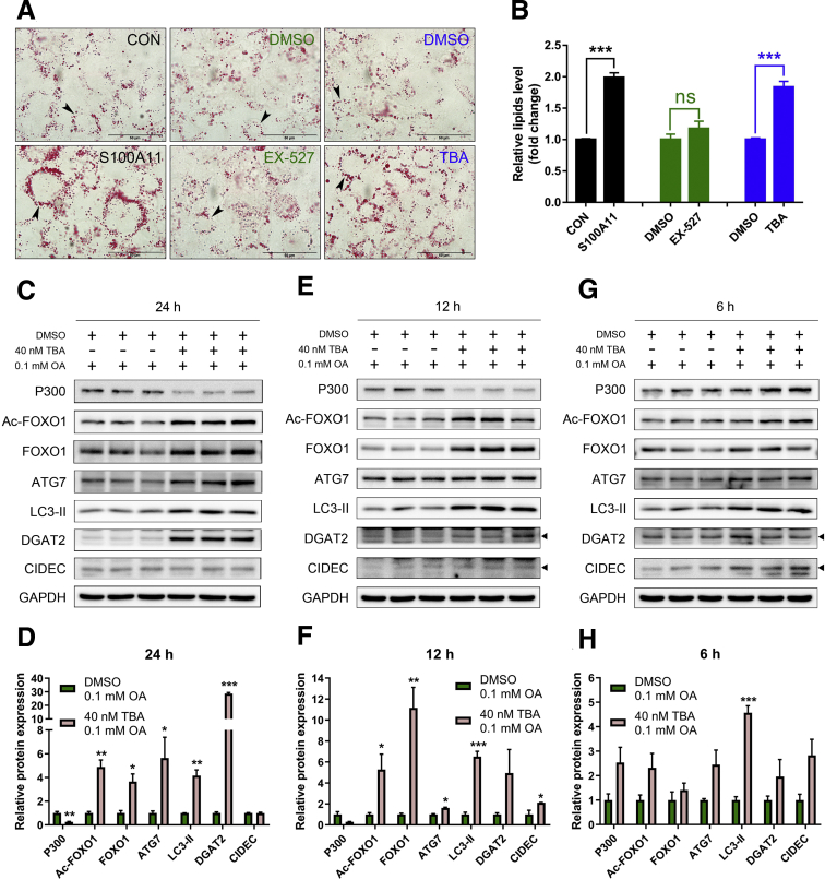 Figure 14