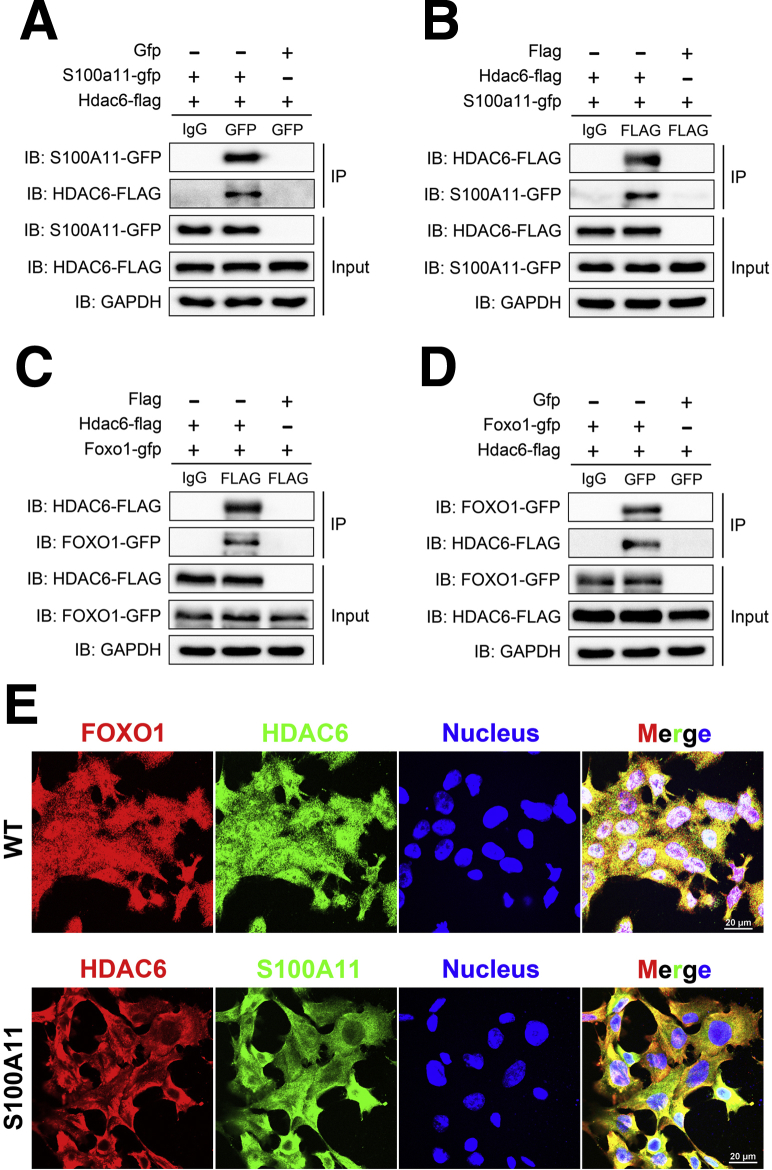 Figure 15