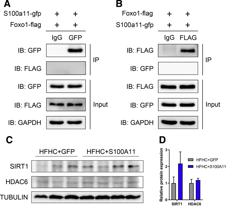 Figure 12