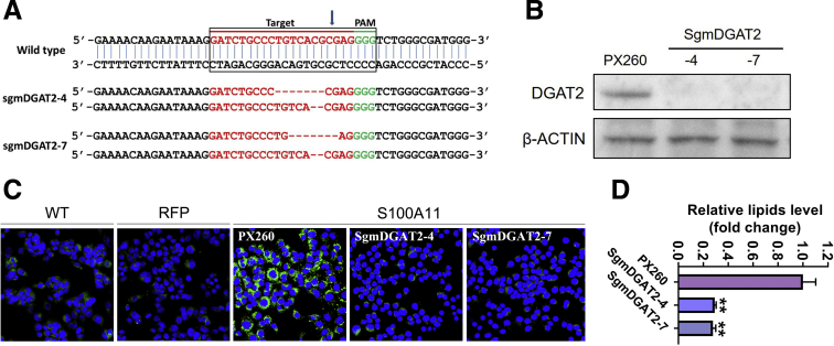 Figure 17