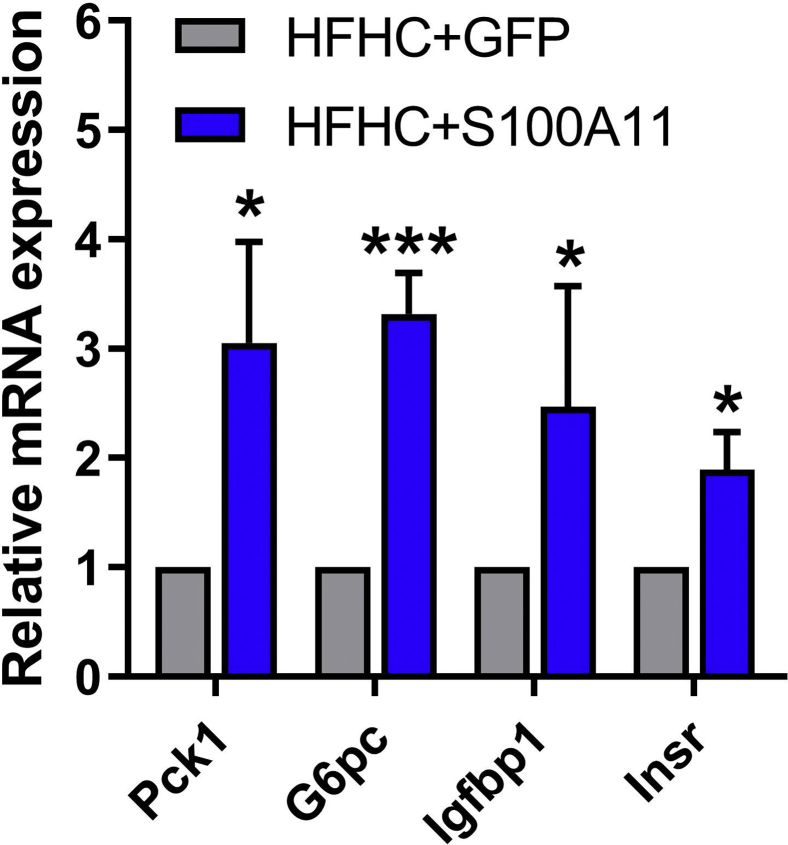 Figure 10