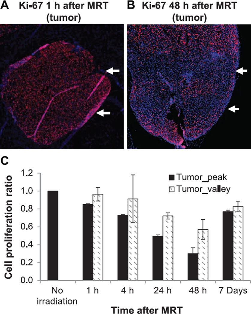 FIG. 7